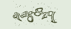 認証画像